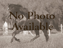 No Photo Available